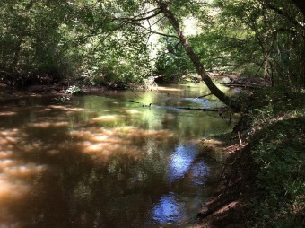 (private lake, pond, creek) Acreage For Sale in Luverne Alabama