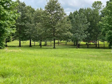 Greers Ferry Lake Lot For Sale in Quitman Arkansas