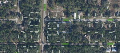 Lake June in Winter Lot For Sale in Lake Placid Florida