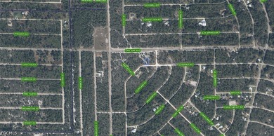A VACANT LOT IN LAKE PLACID IN HIGHLANDS - photo 3