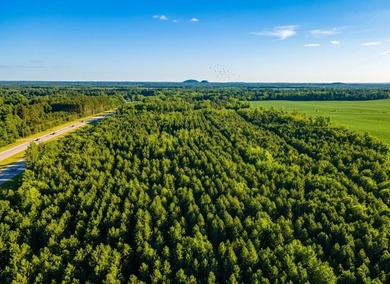Big Roche-A-Cri Lake Acreage For Sale in Friendship Wisconsin