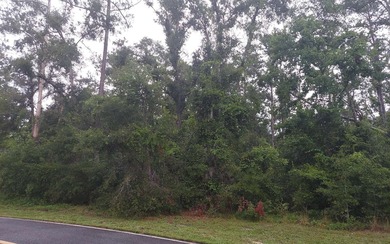 Suwannee River Lot For Sale in Dowling Park Florida