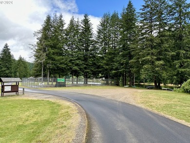 Your Pacific Northwest oasis here at Fishhawk Lake awaits. This - photo 12