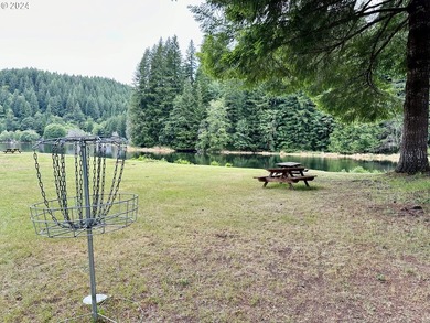 Your Pacific Northwest oasis here at Fishhawk Lake awaits. This - photo 14