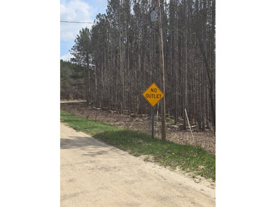 Beautiful wooded lot near Glover Lake. Lake Access is directly - photo 1