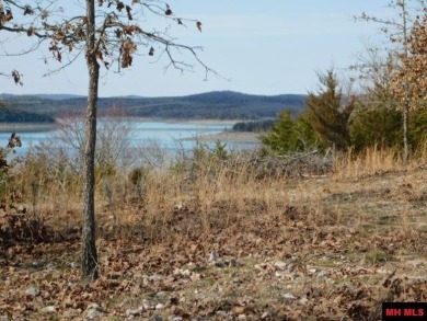 BEAUTIFUL OZARK MOUNTAINS LAND, OFFERING PRIVACY AND....YOUR OWN - Lake Lot For Sale in Yellville, Arkansas