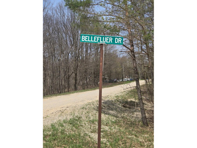 Beautiful wooded lot near Glover Lake. Lake Access is directly - photo 2