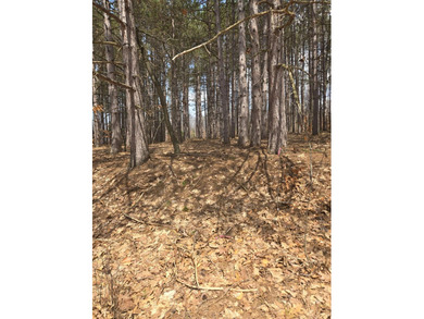 Beautiful wooded lot near Glover Lake. Lake Access is directly - photo 3
