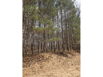 Beautiful wooded lot near Glover Lake. Lake Access is directly - photo 5