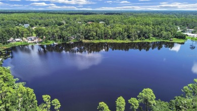 Lake Home Sale Pending in Lutz, Florida