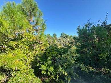 Exceptional homesite on St. George Island This expansive 100' x - photo 3
