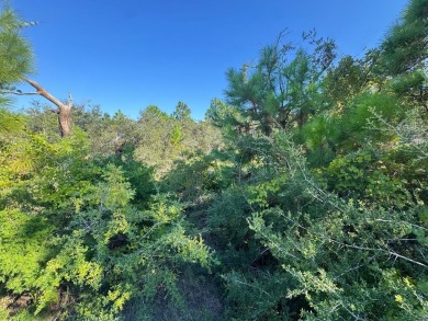 Exceptional homesite on St. George Island This expansive 100' x - photo 4