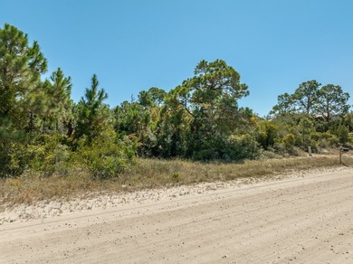 Exceptional homesite on St. George Island This expansive 100' x - photo 5