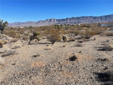 Lake Mead Lot For Sale in Meadview Arizona