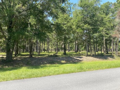 (private lake, pond, creek) Acreage For Sale in Wewahitchka Florida