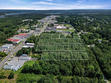 Rare opportunity to own a large collection of city lots tucked - photo 4
