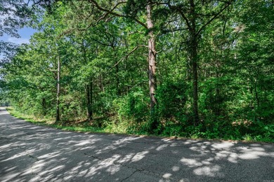 Rare opportunity to own a large collection of city lots tucked - photo 10