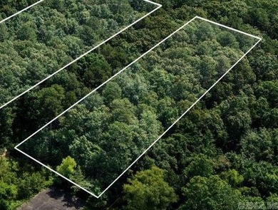 Rare opportunity to own a large collection of city lots tucked - photo 1