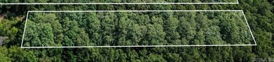 Rare opportunity to own a large collection of city lots tucked - photo 3
