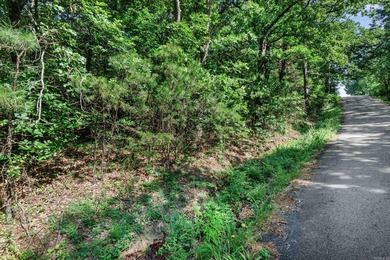Rare opportunity to own a large collection of city lots tucked - photo 7