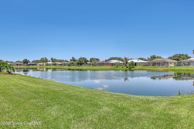 Quite possible the nicest home in Saddlebrook! Perfectly - photo 38