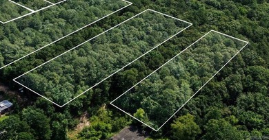 Rare opportunity to own a large collection of city lots tucked - photo 3