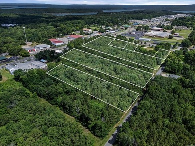 Rare opportunity to own a large collection of city lots tucked - photo 5