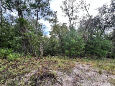 Georges Lake Lot For Sale in Florahome Florida