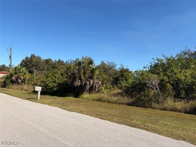 Lehigh Acres Area Lot For Sale in Lehigh Acres Florida