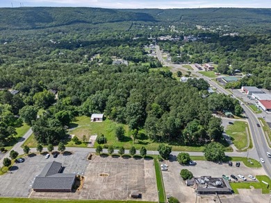 Rare opportunity to own a large collection of city lots tucked - photo 2