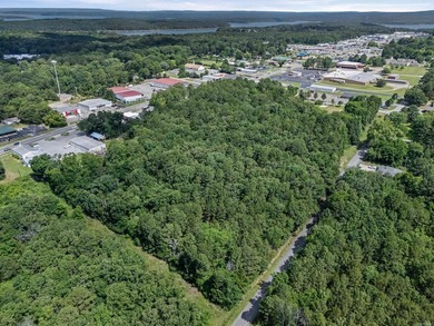 Rare opportunity to own a large collection of city lots tucked - photo 8