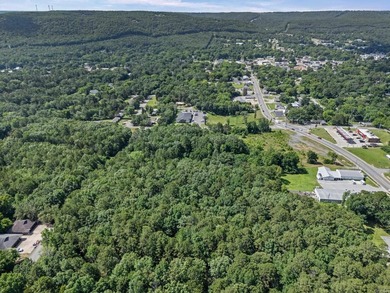 Rare opportunity to own a large collection of city lots tucked - photo 10