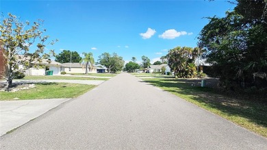 Great opportunity to own this rare DOUBLE LOT with city water - photo 3