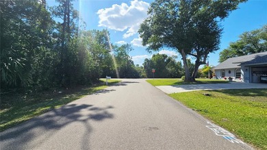 Great opportunity to own this rare DOUBLE LOT with city water - photo 4