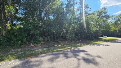 Great opportunity to own this rare DOUBLE LOT with city water - photo 5