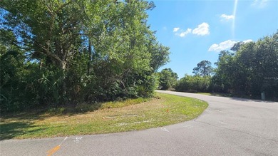 Great opportunity to own this rare DOUBLE LOT with city water - photo 6