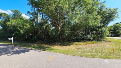 Great opportunity to own this rare DOUBLE LOT with city water - photo 7