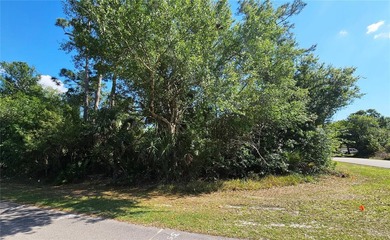 Great opportunity to own this rare DOUBLE LOT with city water - photo 8