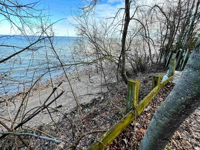 Exceptional opportunity to own a piece of the Bay! This premier - photo 16