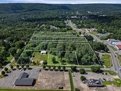 Rare opportunity to own a large collection of city lots tucked - photo 1