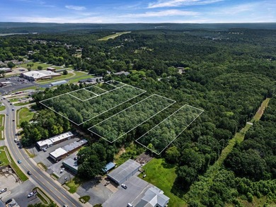 Rare opportunity to own a large collection of city lots tucked - photo 4