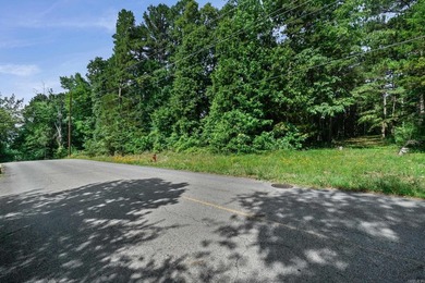 Rare opportunity to own a large collection of city lots tucked - photo 10