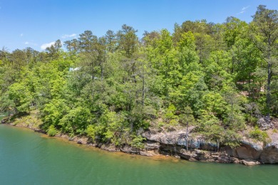 Smith Lake (Brushy Creek) One of the best lots in the small - Lake Lot For Sale in Arley, Alabama
