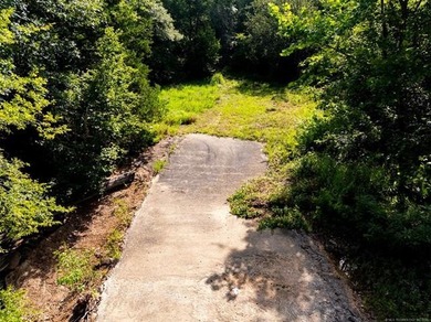 30 mol Acres With Highway 271 Frontage | Scenic Creek | - photo 3