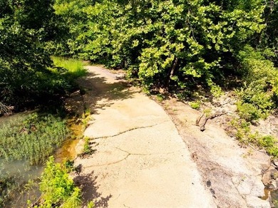 30 mol Acres With Highway 271 Frontage | Scenic Creek | - photo 5