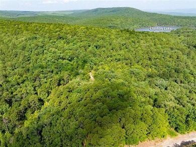 30 mol Acres With Highway 271 Frontage | Scenic Creek | - photo 7