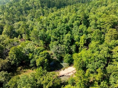30 mol Acres With Highway 271 Frontage | Scenic Creek | - photo 8
