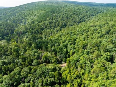 30 mol Acres With Highway 271 Frontage | Scenic Creek | - photo 9