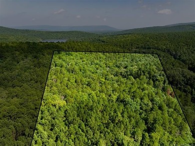 30 mol Acres With Highway 271 Frontage | Scenic Creek | - photo 10
