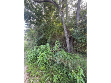 (private lake, pond, coastal) Lot For Sale in Dublin Virginia